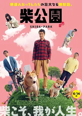 久久频道毛片免费不卡片